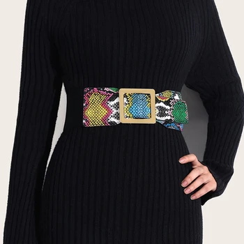 2023 Doamnelor Snake Print Corset Elastic Lat În Talie Rochie Decorative De Moda De Înaltă Calitate, Curele Pentru Femei Brand Designer